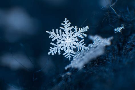 A Closer Look at Blue Summer Snowflakes: How They Form and Why They're So Rare